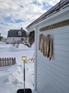 Roligheten Lodge in Andenes - Andenes - 3