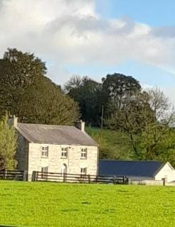 The Hollow - Tullow - 3