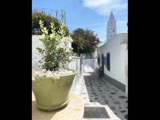 Amarielia's Studios - Città di Tinos - 6
