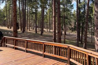 Mountain Escape - Sturgis - 9
