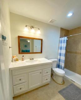 *NEW*Sunshine Gorgeous- 3BD/2BA -Private Backyard! - Port Orange - 4