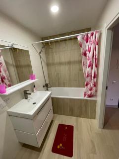 Квартира на Агнии Барто Приднепровск - Dnipro - 2
