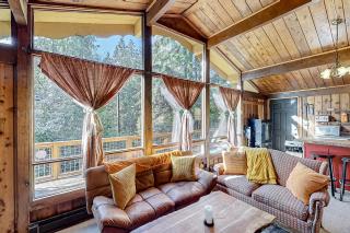 Cozy Cedar Cabin - Sedro-Woolley - 8