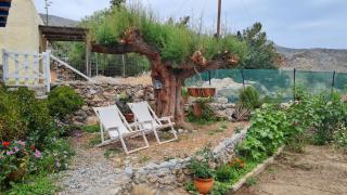 Little Blue - Zakros - 2
