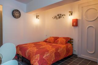 Studio Le Ligérien - Saint-Denis-de lʼHôtel - 9