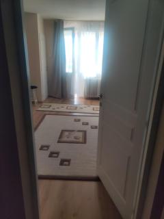 Eric's Cozy Apartment - Timişoara - 3