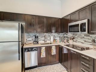 Pet friendly in Orlando area near Disney and ESPN Center - Orlando - 4