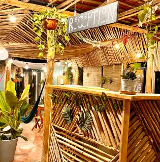 Barco Verde Hostel - Isola Holbox - 2