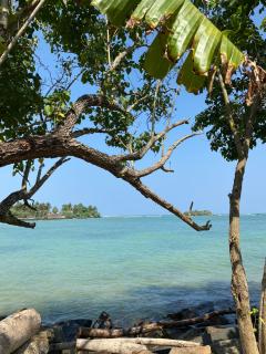 Coco Corals - Matara - 8