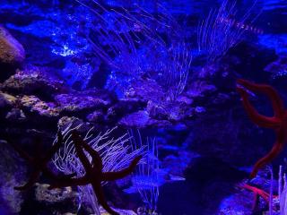 Tribord Dix Neuf - 8