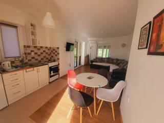 Apartman MatiNik Banja Vrujci - Mionica - 4