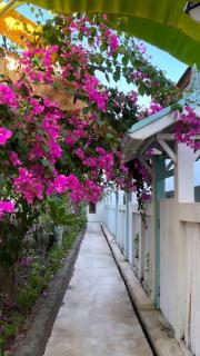 7SEAS Cottages - Gili Air - 3
