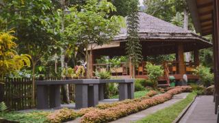 Albatros Toraja Green Resort - Rantepao - 8