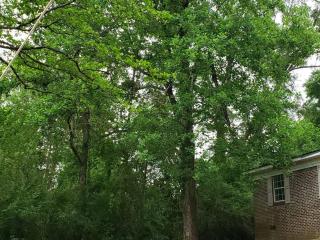 LixyLouis Andalusia minutes from the Downtown - 9