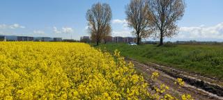 A & I Apartment - Sibiu - 8
