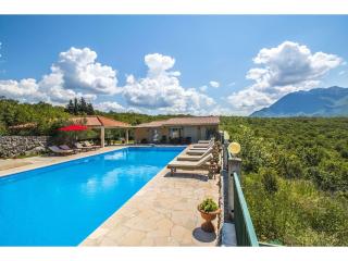 Villa Krnic Olimpic Pool - Zadvarje - 7