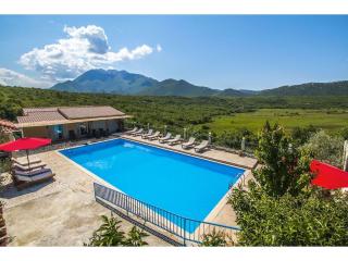 Villa Krnic Olimpic Pool - Zadvarje - 5
