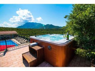 Villa Krnic Olimpic Pool - Zadvarje - 2