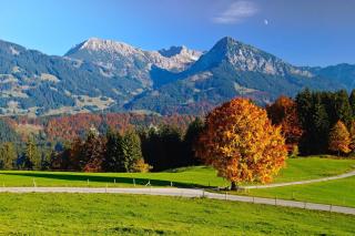 Gästehaus Finkel - 7