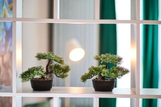 Color Studio 126 - Spa & Pools access - Mamaia - 5