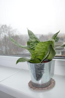 Panoramic Apt in the City center - 3