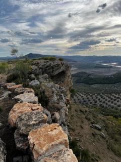 Cortijo El Nevazo - Fuentes de Cesna - 1
