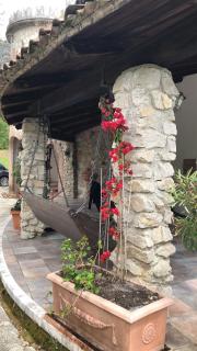 B&B Villa Torri Petrose - Pontelatone - 8