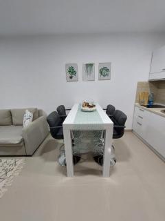 Apartman Mišić - Veliko Gradište - 1
