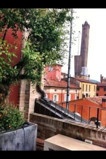 sui tetti di bologna - Bologna - 8