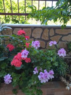 B&B one - Vonitsa - 4