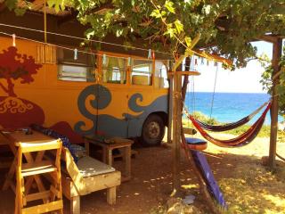 The Old Bus "Away with the fairies" - - 4
