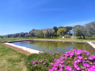 Holiday Home Ovest by Interhome - Castellaccia - 8