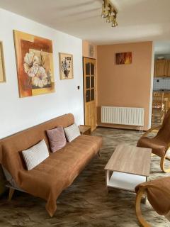Apartmán Na Ostrově Beroun - Beroun - 5