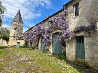 Gîtes du château de La Celle-Guenand - La Celle-Guénand - 0