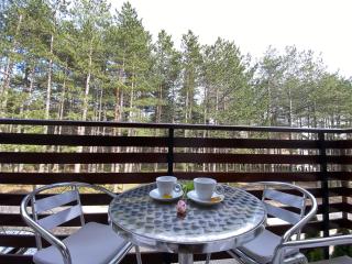 Miris tisine - Zlatibor - 0