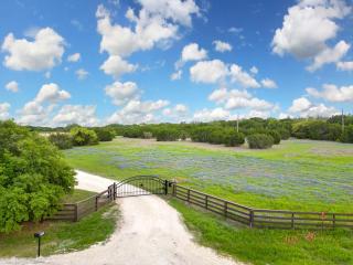 50 Acre Countryside Haven With Hiking Trails, Fossils, Pickleball Court, Basketball, Arcade, In-Ground Trampoline, Pool and Jacuzzi residence - Glen Rose - 6