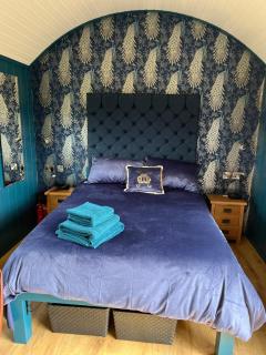 Redfox Shepherds hut and private hot tub - Ballynameen - 9