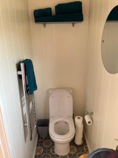 Redfox Shepherds hut and private hot tub - Ballynameen - 3