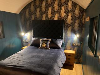 Redfox Shepherds hut and private hot tub - Ballynameen - 5