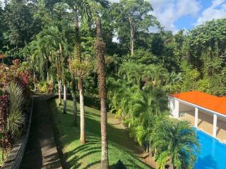 Jardin Secret - Petit-Bourg - 8