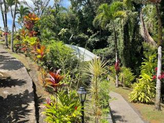 Jardin Secret - Petit-Bourg - 6