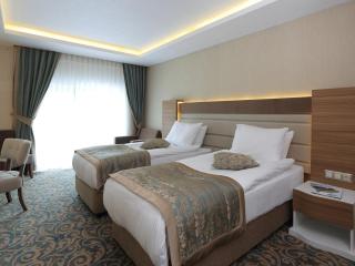 Cam Thermal Resort Hotel & Spa - Kızılcahamam - 6