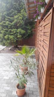 Magnolia apartman - Eger - 2