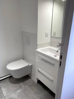 Superbe duplex plein centre - - 6