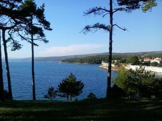 Mobilne kućice Lavanda - 0