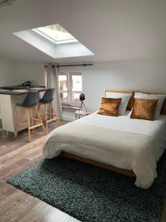 Studio cocooning et refait à neuf. Lyon 06 - Lyon - 1