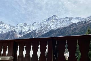 Bright apt facing the Mont Blanc chain - Les Houches - 9