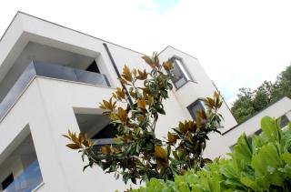 Luxury apartments Aronia - Vantačići - 0