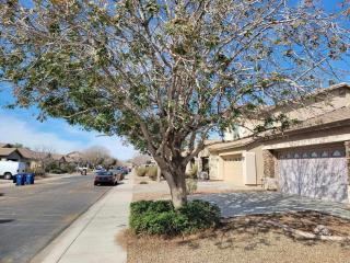 Peaceful 3 Bedrooms Vacation or Business Retreat - Maricopa - 7