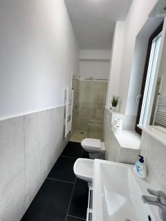 Marvellous Aparthotel with Master Apartments Suceava - Suceava - 7